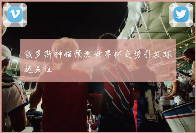 俄罗斯神猫预测世界杯走势引发球迷关注