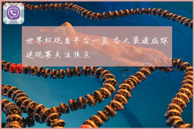 世界杯观看平台一览 各大渠道成球迷观赛关注焦点