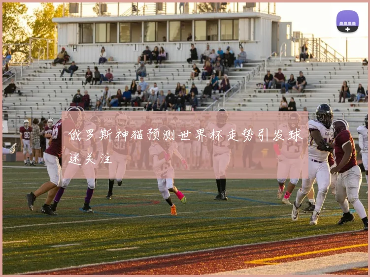俄罗斯神猫预测世界杯走势引发球迷关注