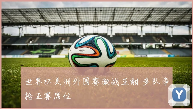 世界杯美洲外围赛激战正酣 多队争抢正赛席位