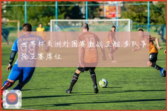 世界杯美洲外围赛激战正酣 多队争抢正赛席位