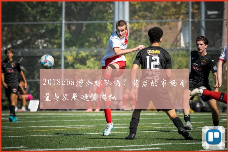 2018cba增加球队吗？背后的市场考量与发展趋势揭秘